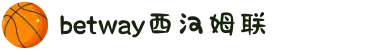 中国·必威(bw·西汉姆联)官方网站-West Ham United"